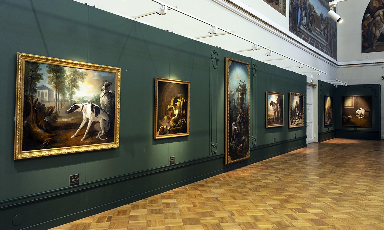 Выставка «Класс зверей и птиц, цветов и плодов. Академические классы XVIII века» в Музее Академии художеств.  Фото: Музей Академии художеств