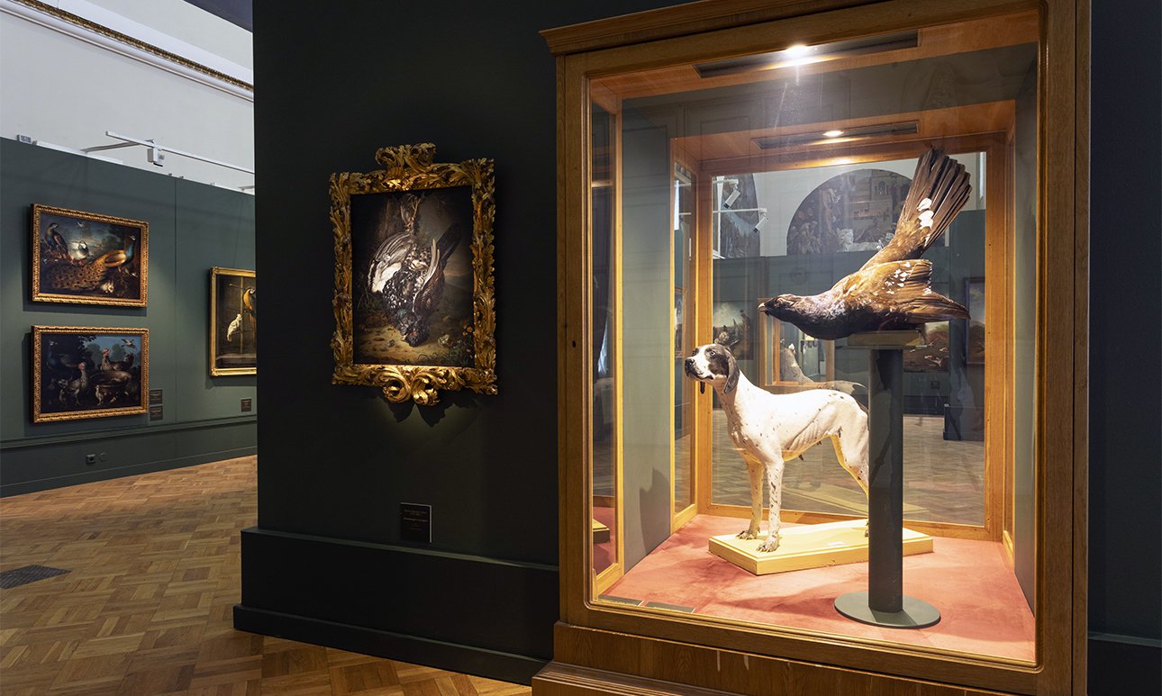 Выставка «Класс зверей и птиц, цветов и плодов. Академические классы XVIII века» в Музее Академии художеств.  Фото: Музей Академии художеств