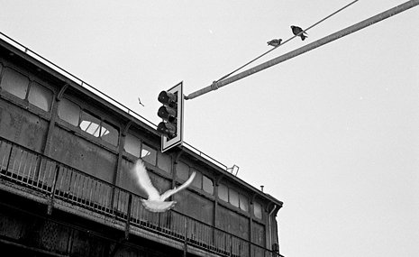 Концепция, но не манифест: когда фотография была непосредственной