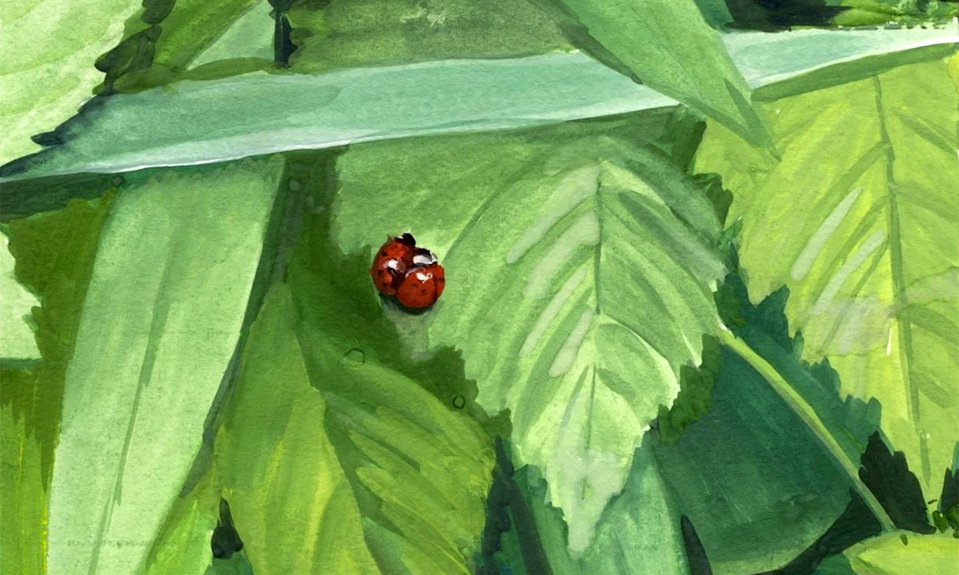 Дарья Барыбина. Love is... 2026. Фото: VLADEY