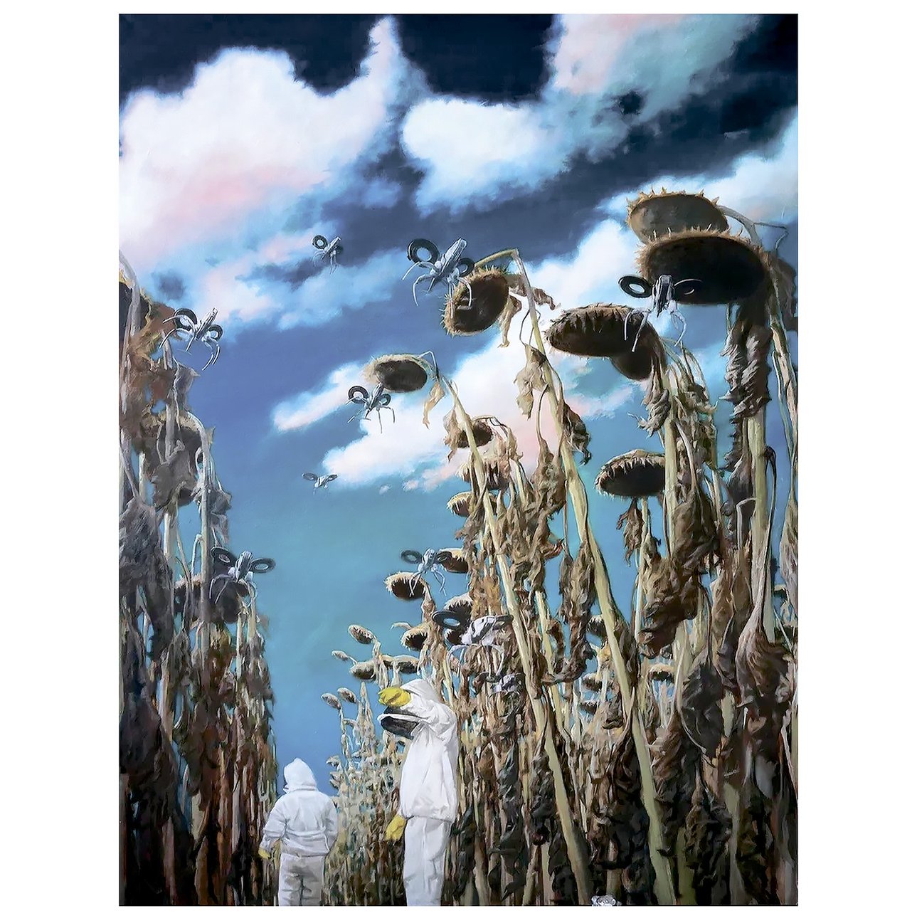 Антон Кузнецов. «Большие подсолнухи». Из проекта «Зона пчел. Рефугиум». 2024.  Фото: личный архив художника