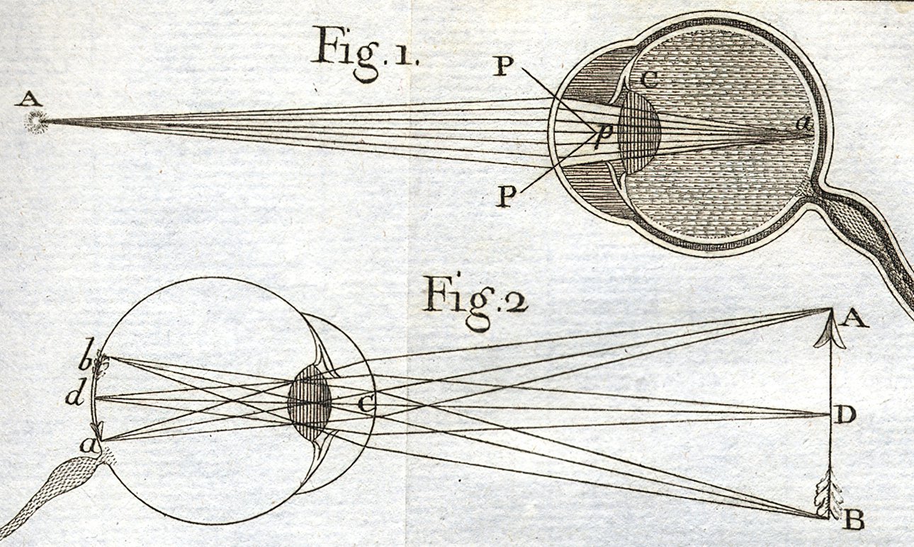 Глаз, начало XVIII века. Начало XVIII в.  Фото:  V–A–C Press
