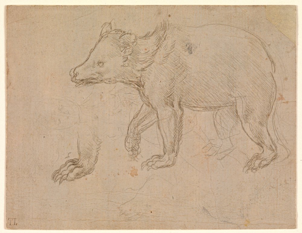 Леонардо да Винчи. "Идущий медведь".  Около 1482–1485. Набросок. Courtesy of Metropolitan Museum of Art