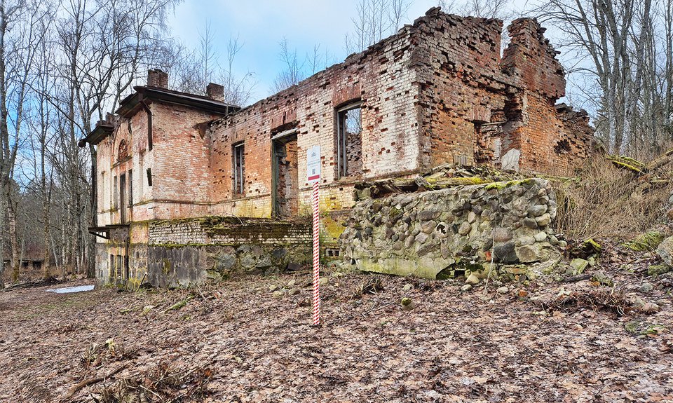 Руинированная усадьба Куропаткина на озере Наговье.  Фото: Татьяна Тафинцева