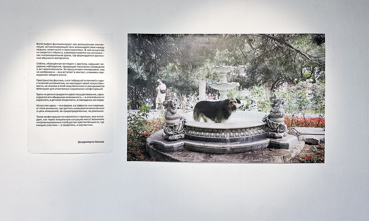 На «Выстав­ке с глубоким смыслом – 2 (галерея «Пересветов переулок», 2025) участники художественного объединения «Красный кружок» рекомендовали зрителям сперва читать экспликации и только потом смотреть искусство.  Фото: Алиса Дудакова-Кашуро