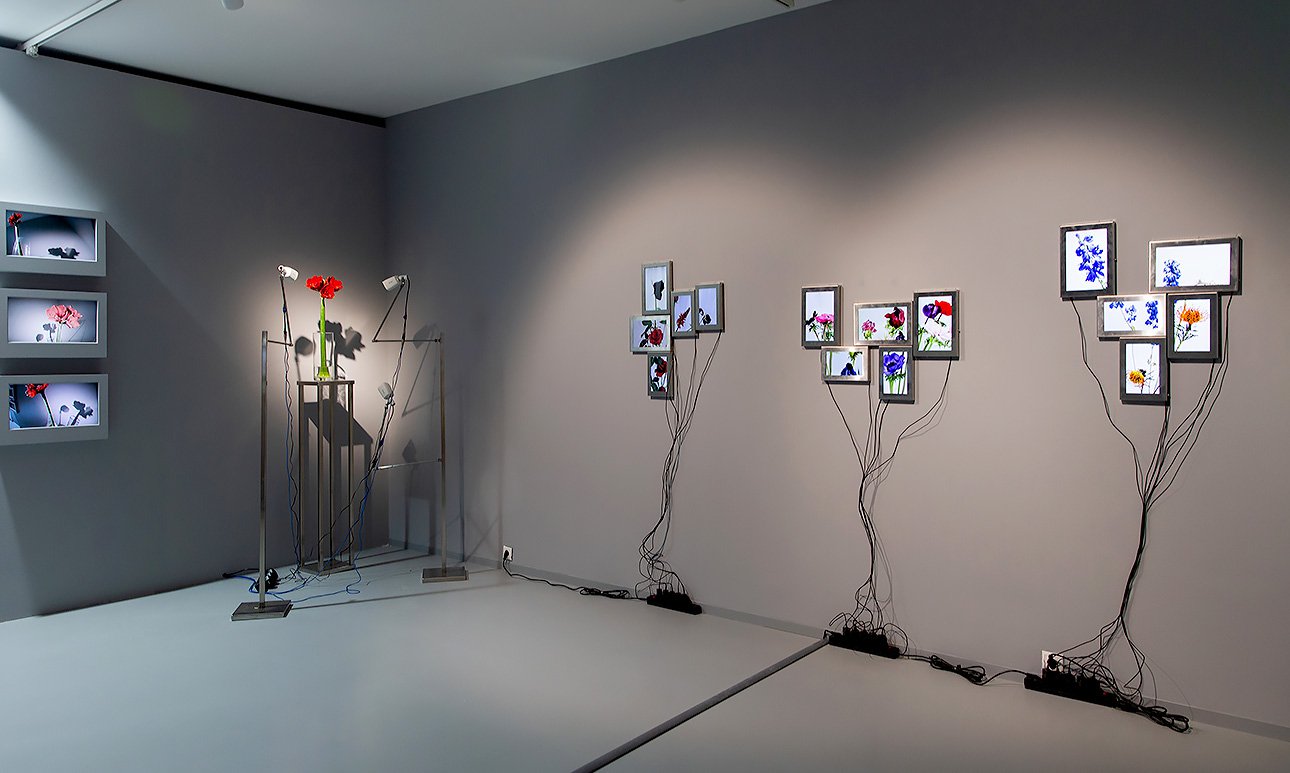 II Биеннале «Искусство будущего» в МАММ.  Фото: Мультимедиа Арт Музей