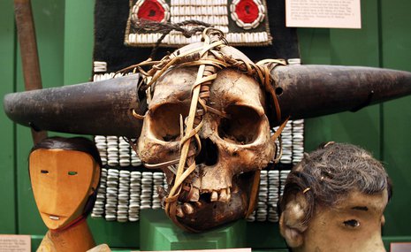 Судьбы настоящих скелетов в музейном шкафу