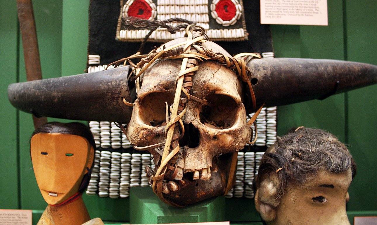 Экспонат из Музея Питта-Риверса в Оксфорде — человеческий череп с рогами буйвола и нижней челюстью свиньи.  Фото:  Alice Durose