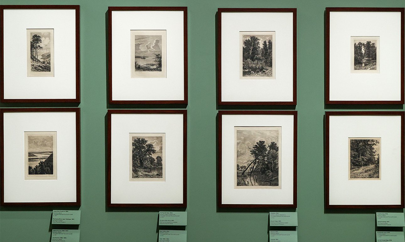 Выставка «Иван Шишкин. Русский лес» в Русском музее. Фото: Олег Золото/Государственный Русский музей