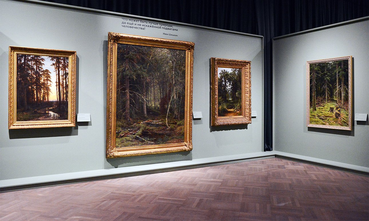 Выставка «Иван Шишкин. Русский лес» в Русском музее. Фото: Евгений Елинер/Государственный Русский музей