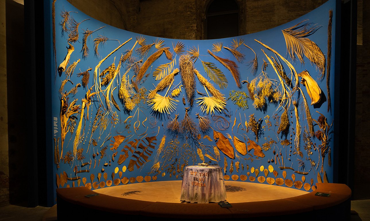 Работа Аннали Дэвис.  Фото: Luca Zambelli Bais/La Biennale di Venezia