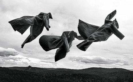 Арт-объект против раритета: рынок российской фотографии