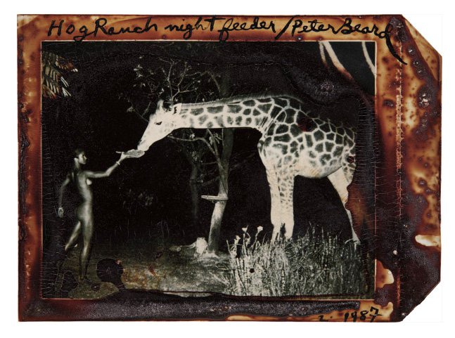 Питер Бирд. «Морин Галлахер и поздний едок». Ранчо «Хог», 1987. Фото: Philli
