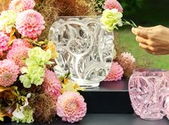 Коралловый вихрь