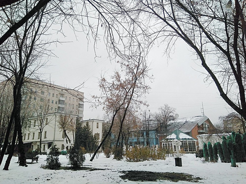 Территория Бахрушинского музея. Фото: Софья Багдасарова