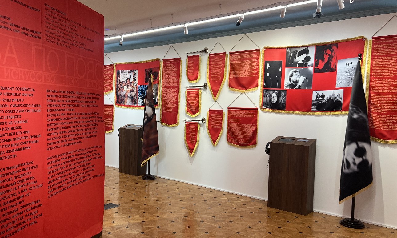 Выставка «Трава по пояс. Природа и искусство Егора Летова» в Центре Вознесенского.  Фото: Центр Вознесенского
