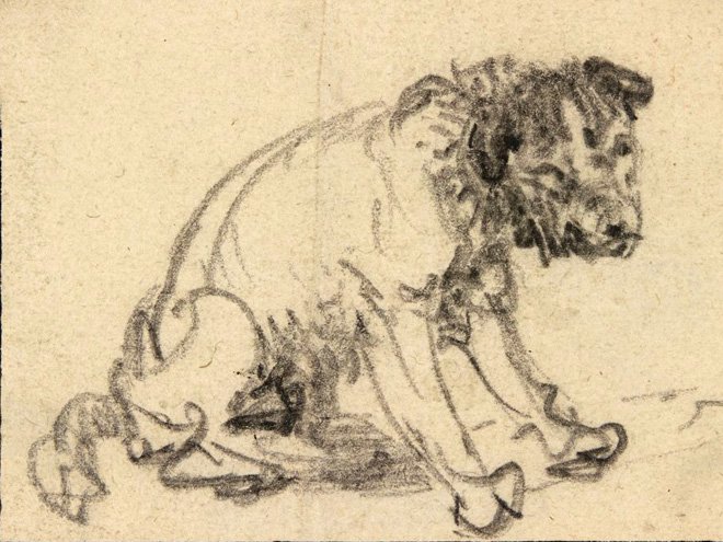 Рембрандт ван Рейн. Этюд собаки. 1637. Courtesy Herzog Anton Ulrich Museum Braunschweig