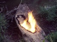 Неолитическое искусство Аны Мендьеты воссоздали в Лондоне