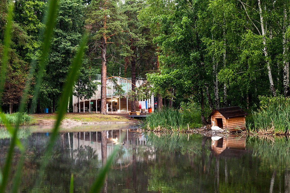 «Павильон будущего» у пруда Лебединка. Фото: Арт-Овраг