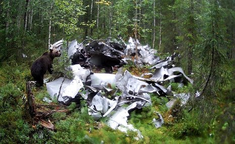 Что с неба упало, то в фонде Ruarts не пропало