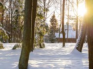 Выставки за пределами Москвы, куда стоит отправиться в новогодние праздники