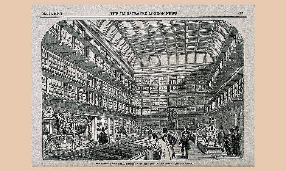 Иллюстрация в еженедельной газете «The illustrated London News». 20 мая 1854 год. Фото: Лондонский музей хирургии