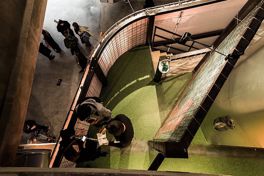 На семи холмах российского современного искусства | The Art Newspaper ...