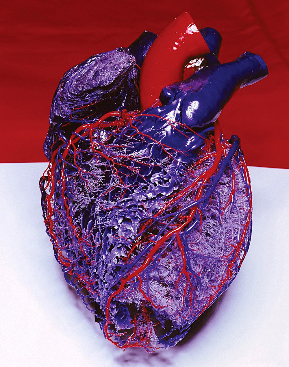 Марк Куинн. Map of the Human Heart («Карта человеческого сердца»). 1999. Фото: © Monograph