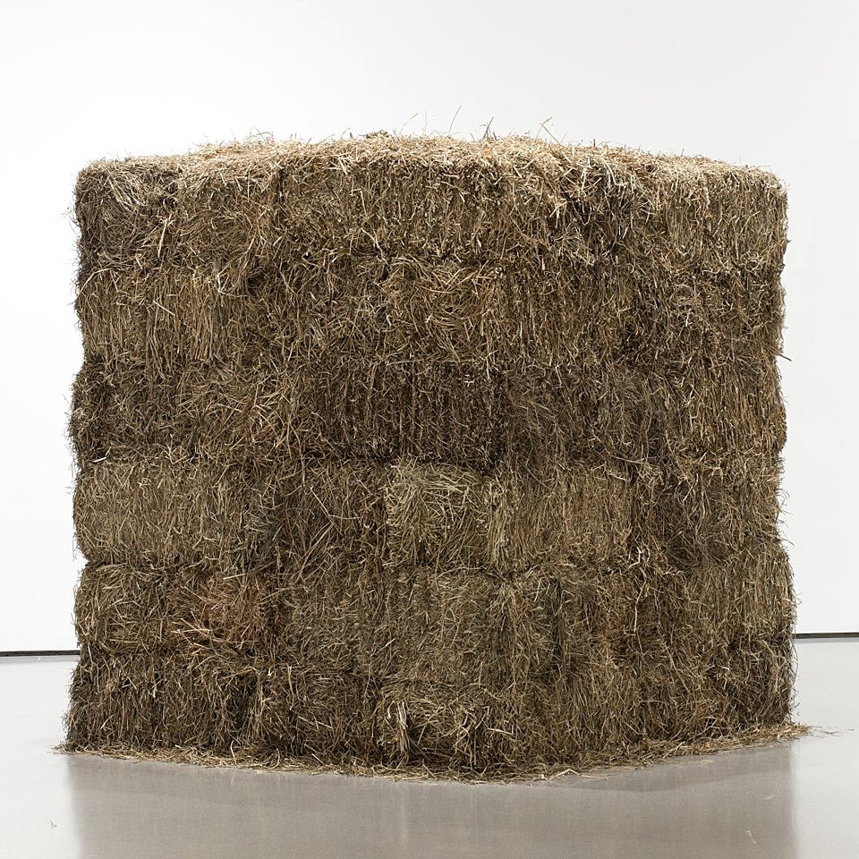 Силдо Мейрелис. «Нить». 1990-1995. Фото: MoMA