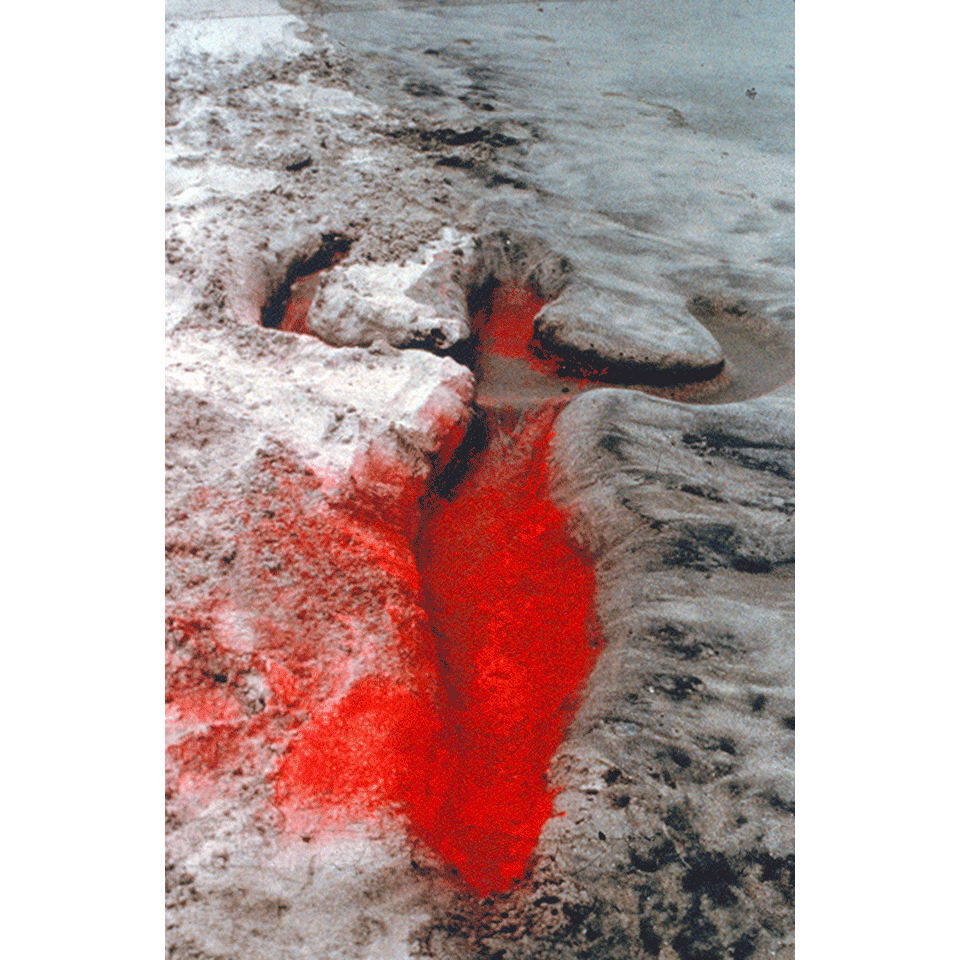 Ана Мендьета. Без названия. Из серии «Силуэты». 1976. Фото: The Estate of Ana Mendieta Collection, LLC/Courtesy Galerie Lelong, New York.