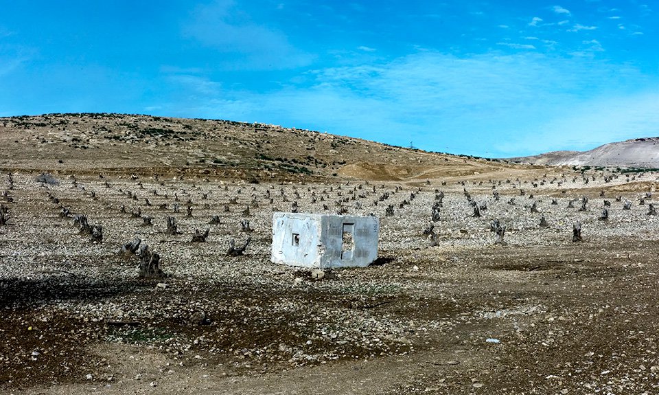 Дана Леви. Инсталляция Erasing The Green. 2022. Фото: Dana Levy, 2011. Courtesy of the artist and Braverman Gallery