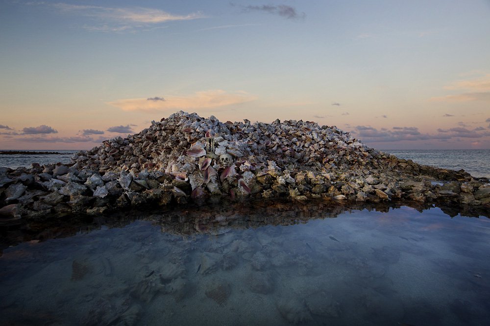 Анна де Карбуччиа. Моллюски борются с размыванием островов. Гренадины, Карибское море, Латинская Америка. Октябрь 2014 г.
