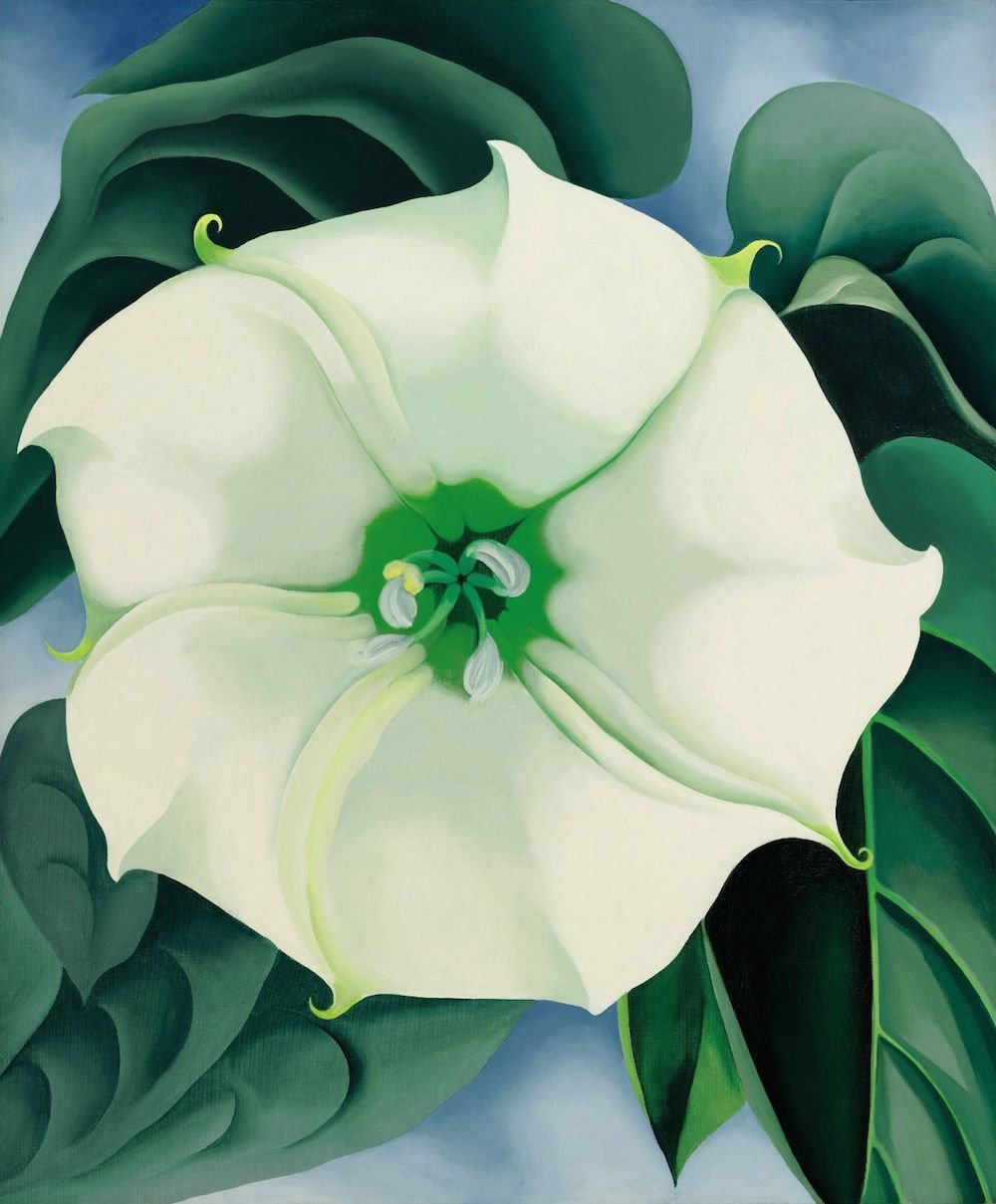 Джорджия О’Кифф. «Дурман» («Белый цветок № 1»). 1936. Продано на Sotheby's за $44,4 млн в 2014 г. Самая дорогая работа художника-женщины на аукционах. Фото: Sotheby'