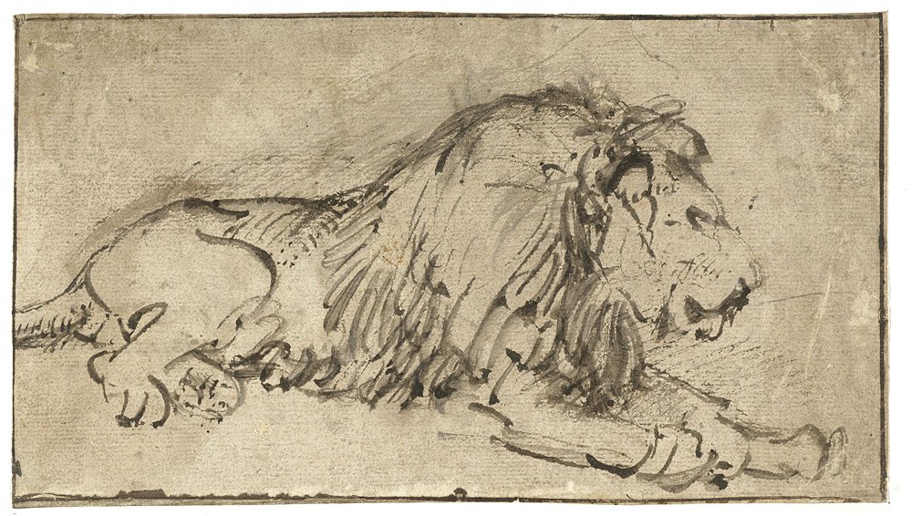 Рембрандт. «Лежащий лев». 1660. Фото: Rijksmuseum