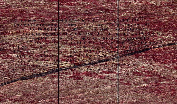 Михаль Ровнер. Без названия 8 (Панорама), 2015. 3 жидкокристаллических экрана, видео. 122 x 208 x 14,2 см. © 2015 Michal Rovner/Artists Rights Society (ARS), New York