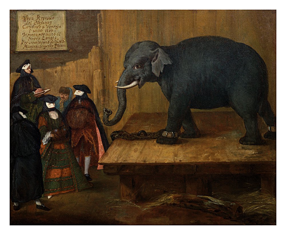 Пьетро Фалька, прозванный Лонги. «Слон». 1774. Коллекция банка Интеза Санпаоло  Галереи Италии - Палаццо Леони Монтанари, Виченца. Фото: Collezione Intesa Sanpaolo, Gallerie d'Italia – Palazzo Leoni Montanari, Vicenza