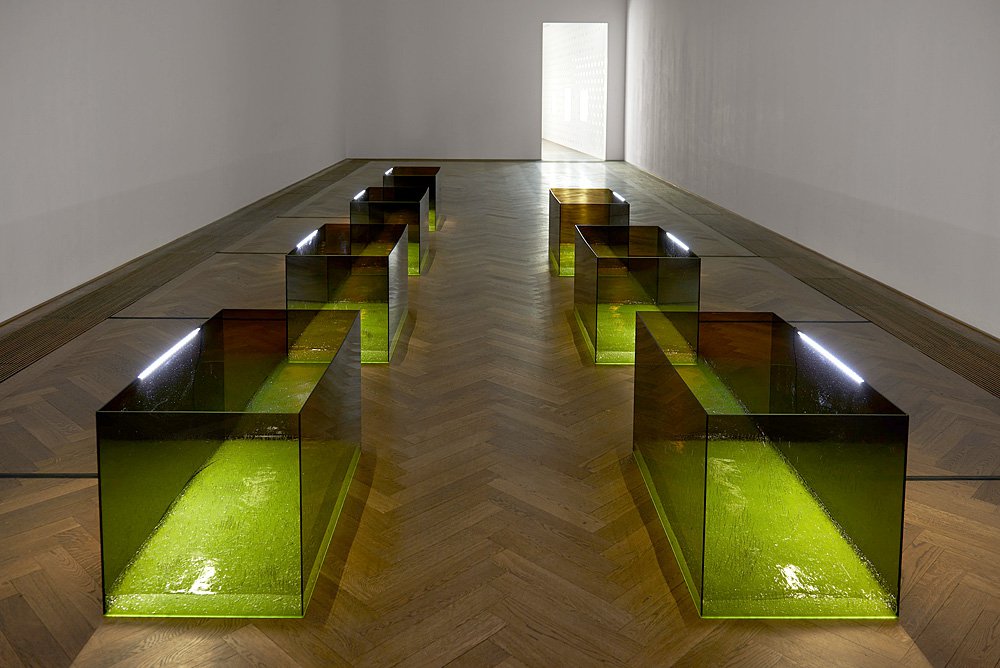 Аничка Йи. «Shameplex». 2015. Оргстекло, ультразвуковой гель, светодиодная лента. Фото: MOMA