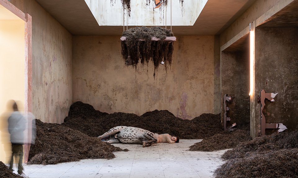 Уффо Изолотто. «Мы прошли по Земле». Павильон Дании. Фото: Marco Cappelletti/La Biennale di Venezia