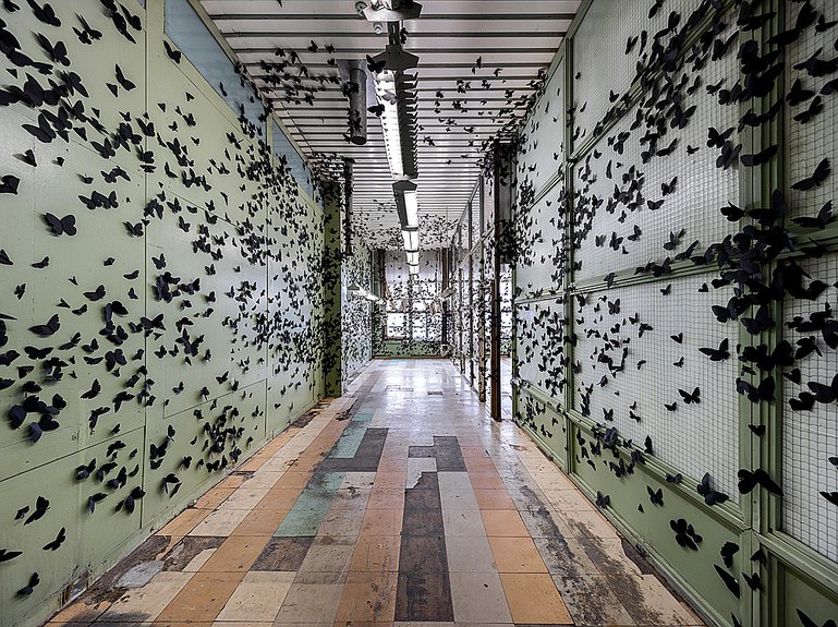 30 видов бабочек использовал Карлос Аморалес, чтобы сконструировать инсталляцию «Черное облако» для 5-й Уральской индустриальной биеннале. Фото: 5th Ural Biennial/Litvinov