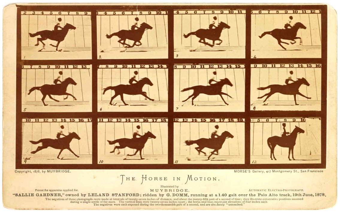 Эдвард Мейбридж. «Лошадь в движении». 1878