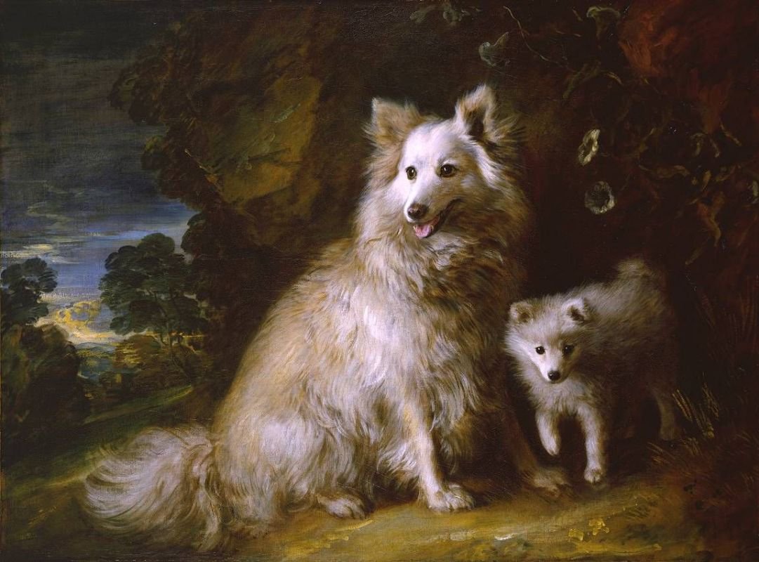 Томас Гейнсборо. «Две собаки Бич и Паппи» («Померанский шпиц со щенком»). 1777. Фото: Tate