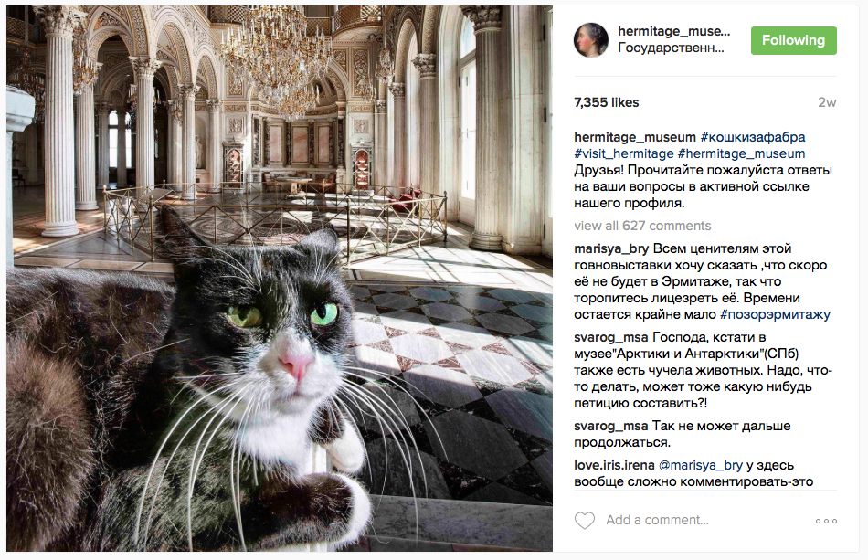 https://www.instagram.com/hermitage_museum/