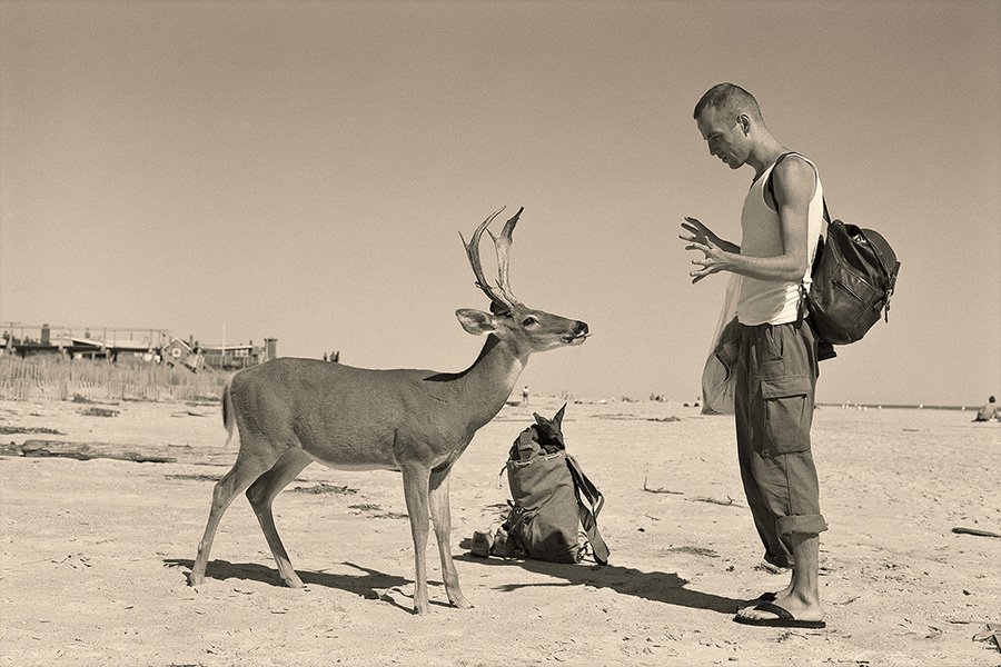 Вольфганг Тильманс. «Олень Хирш». Фотография. 1995. Фото: Galerie Buchholz
