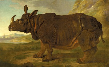 Рейксмузеум воспел носорожиху Клару, вдохновлявшую многих художников