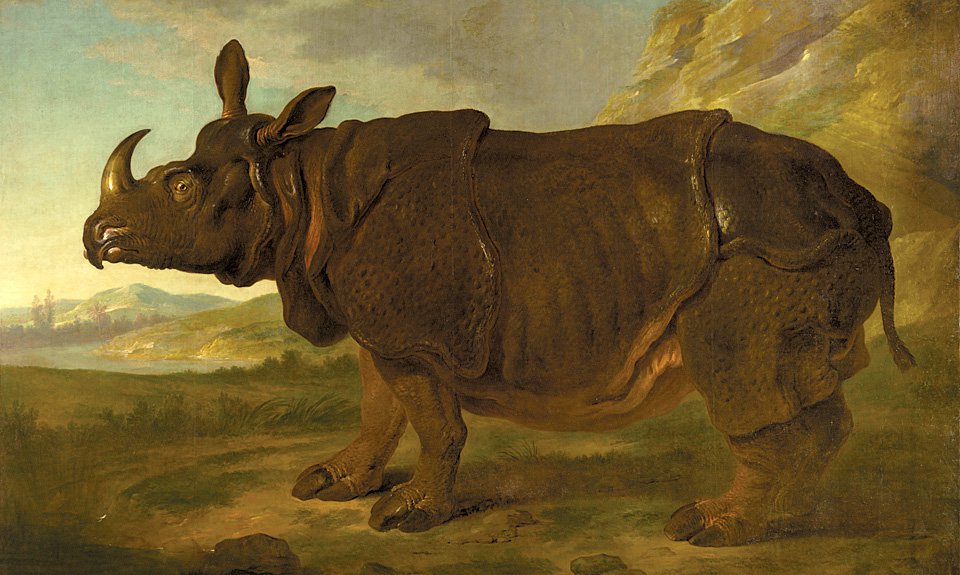 Жан-Батист Удри. «Носорог Клара». 1749. Фото: Rijksmuseum