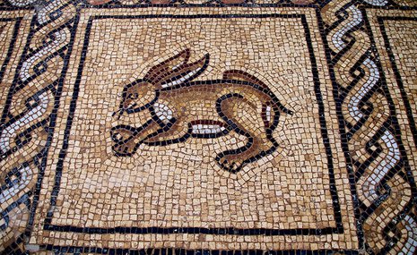 Фермер нашел византийскую мозаику во время посадки олив