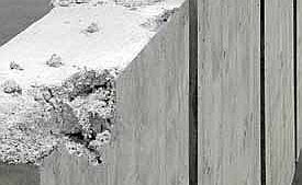 В Петербурге стартовала европейская биеннале  Manifesta