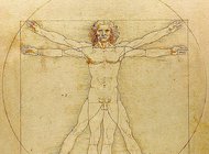 Итальянский суд запретил вывозить «Витрувианского человека» Леонардо в Лувр
