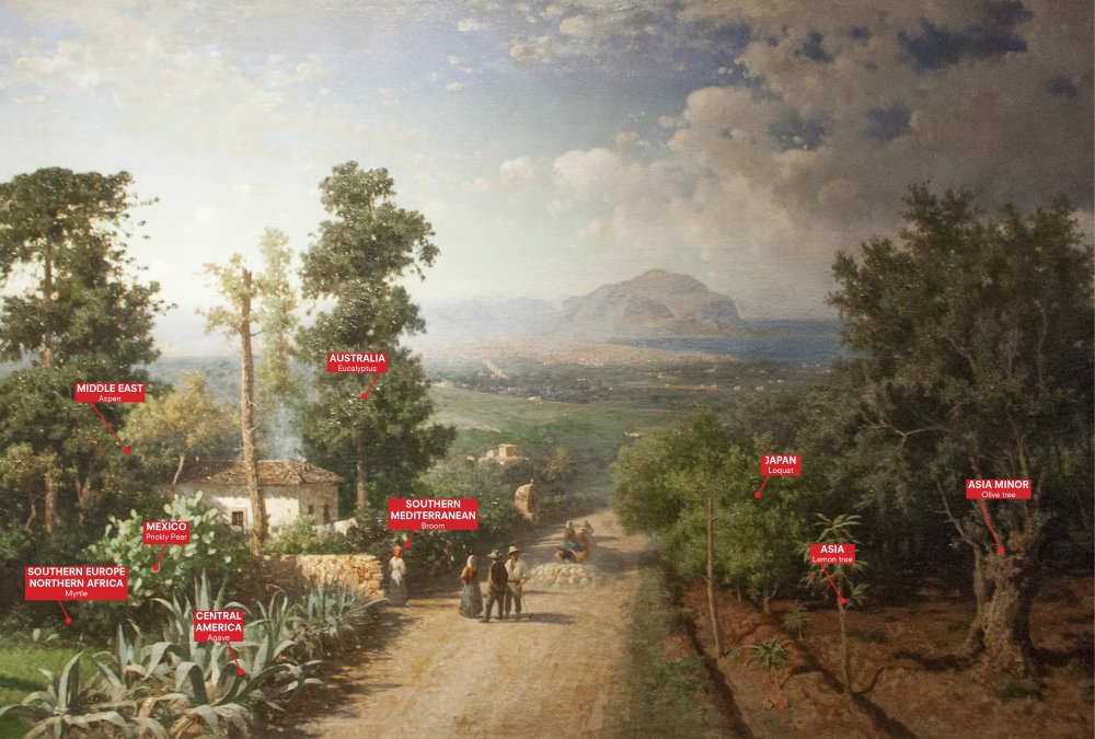 Картина Франческо Лояконо «Вид Палермо» (1875) использована агентством OMA для создания Palermo Atlas — своеобразного исследования города. Фото: OMA for Manifesta 12