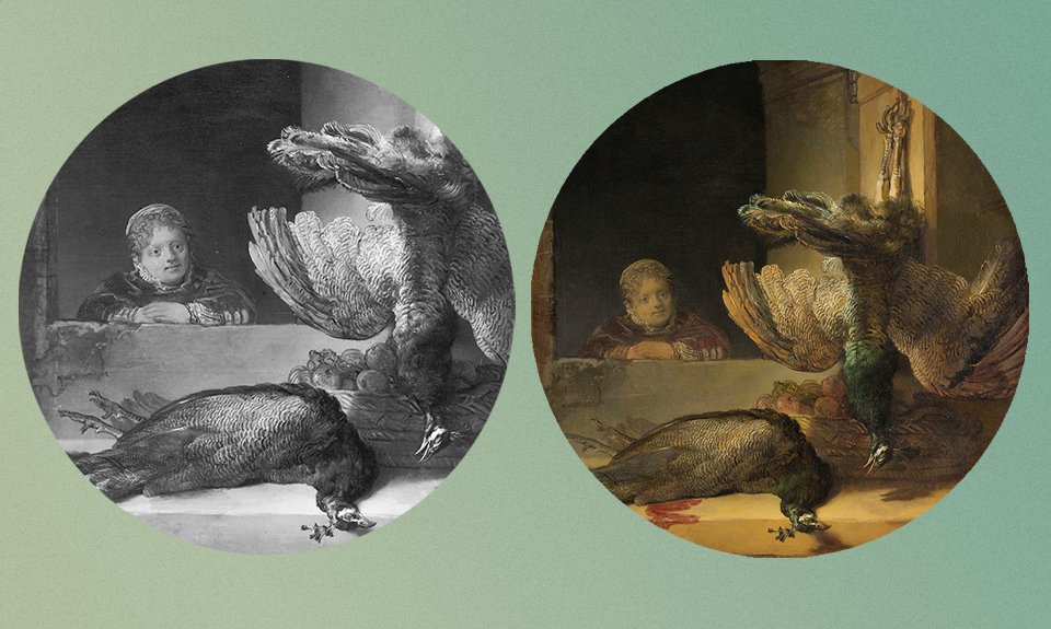 Рембрандт. «Натюрморт с павлинами». Фрагмент до и после реставрации. Фото: rembrandtdatabase.org